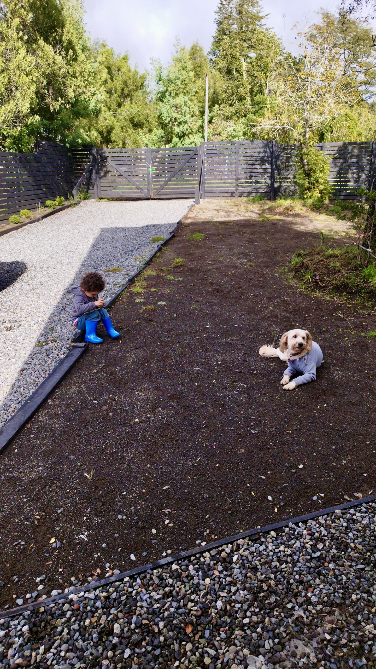 niño y perro en patio de entrada aurora loft pucon