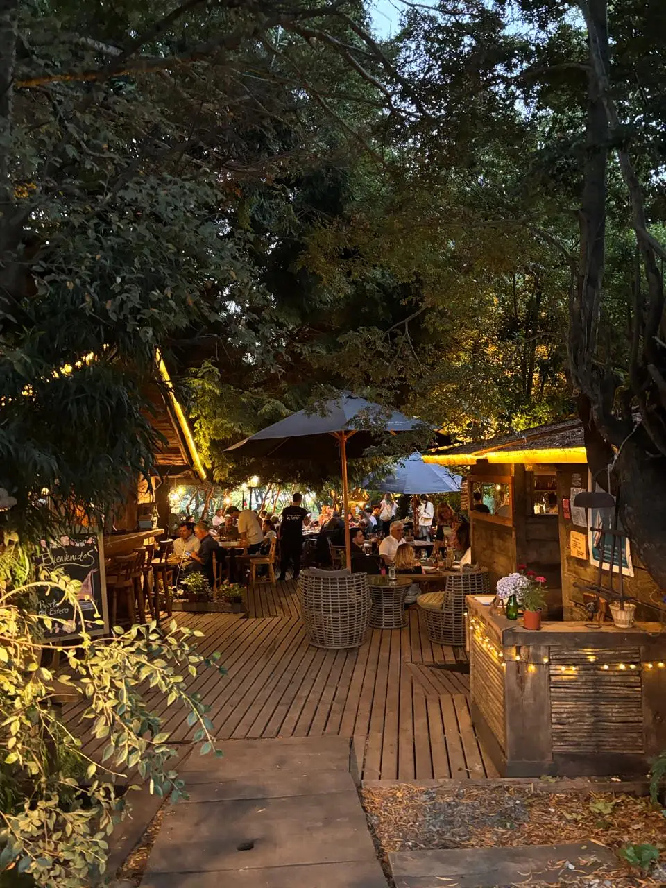 ¡Vive la Noche de Pucón: Bares y Discotecas para un Final Inolvidable!