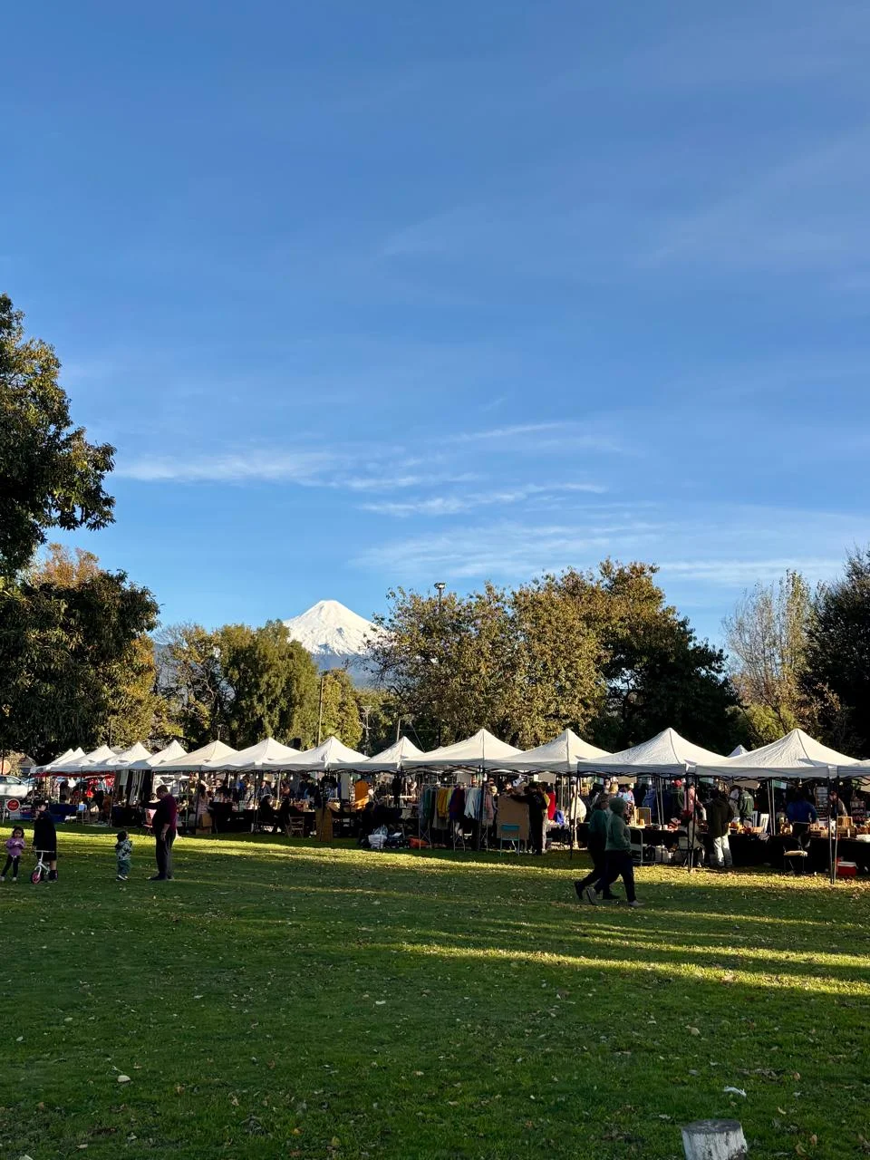 ¿Por qué explorar el Centro de Pucón?