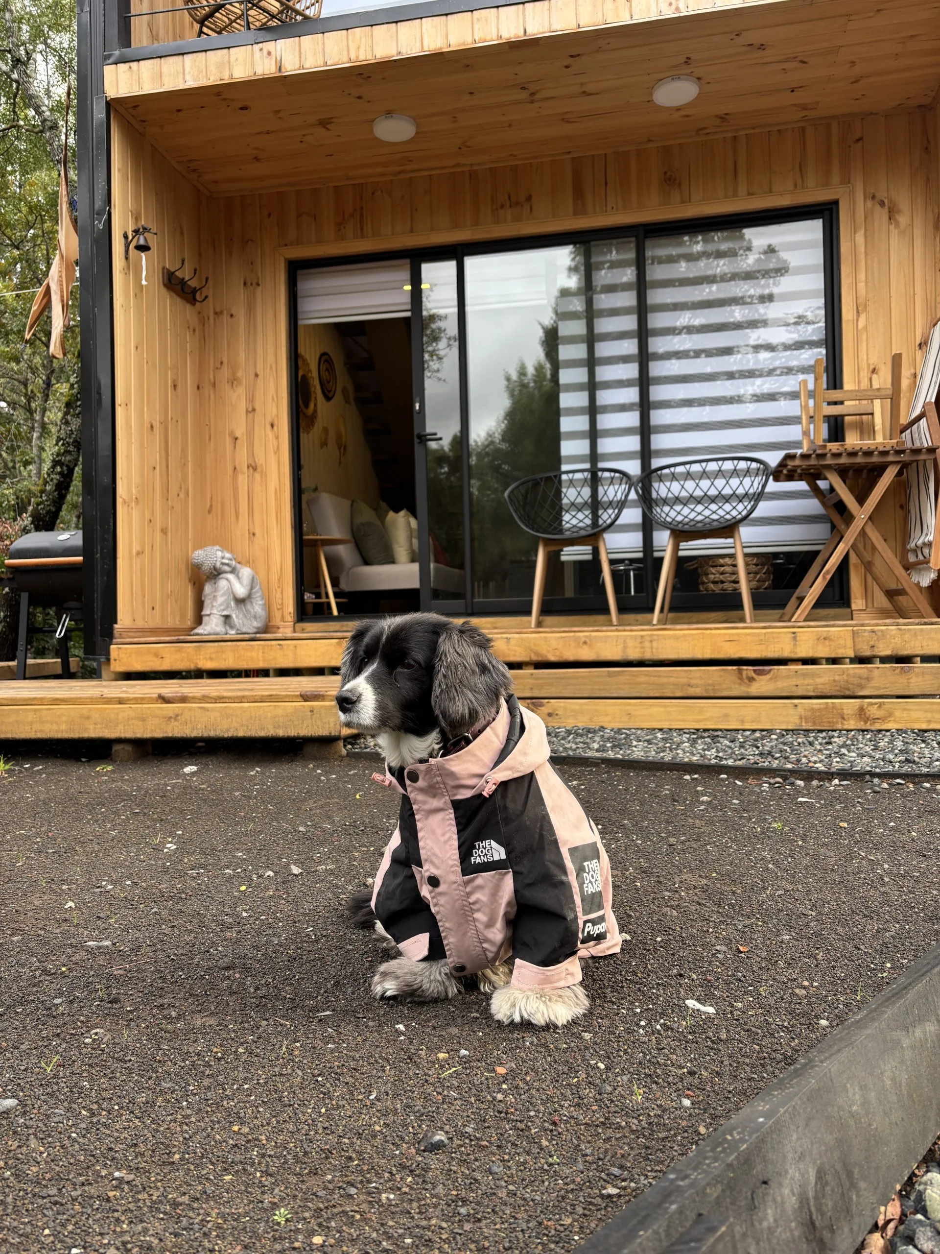 Pet Friendly Loft Aurora Pucón